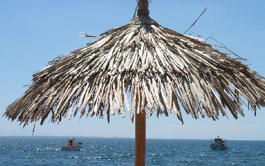 Ferienhaus in Psakoudia (Chalkidiki) oder Ferienwohnung oder Ferienhaus