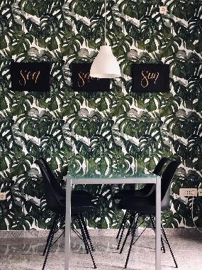 Ferienhaus in Kastel Novi (Splitsko-Dalmatinska) oder Ferienwohnung oder Ferienhaus