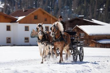 Ferienwohnung in Umhausen  (Tiroler Oberland) oder Ferienwohnung oder Ferienhaus