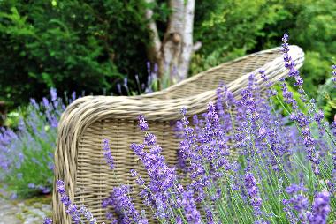Ferienwohnung in Amtzell (Bodensee) oder Ferienwohnung oder Ferienhaus