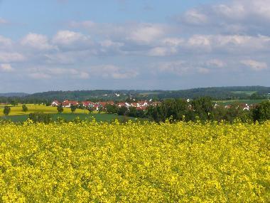 Blick auf Rot am See, eingebettet in Wiesen, Felder und W�lder