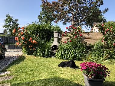 Ferienhaus in Brouwershaven (Zeeland) oder Ferienwohnung oder Ferienhaus