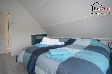 Ferienhaus in Noordwijk (Zuid-Holland) oder Ferienwohnung oder Ferienhaus