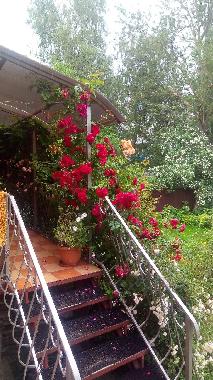 Ferienwohnung in Selenogradsk  (Kaliningradskaya Oblast) oder Ferienwohnung oder Ferienhaus