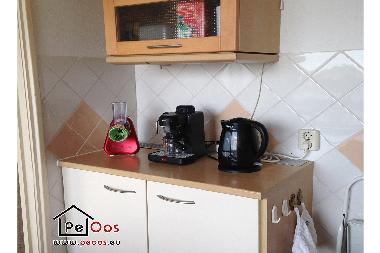 Ferienwohnung in Noordwijk aan Zee (Zuid-Holland) oder Ferienwohnung oder Ferienhaus