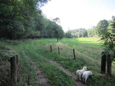 Wanderweg durchs Nautzschketal