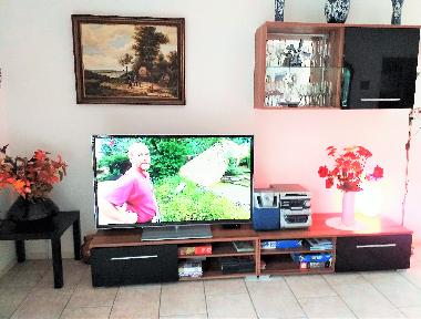 neuer TV mit super 55 Inch Bildschirm 