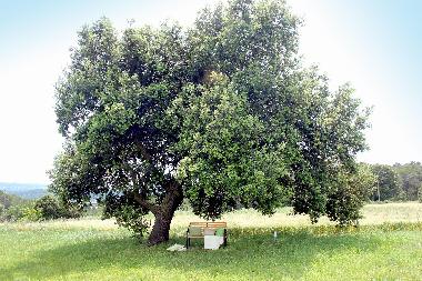 Ferienhaus in Ponts (Girona) oder Ferienwohnung oder Ferienhaus