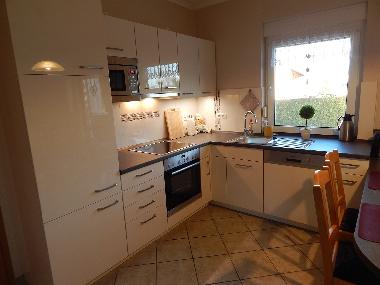 Ferienhaus in Dargun (Mecklenburgische Seenplatte) oder Ferienwohnung oder Ferienhaus