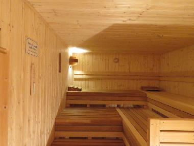 Gartensauna mit Mnzbetrieb