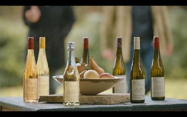 unsre Bio Wein und Obst