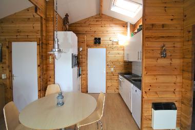 Ferienhaus in Renesse (Zeeland) oder Ferienwohnung oder Ferienhaus