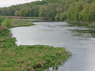 Das Mulde-Ufer (700 m entfernt)