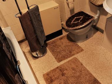 Badezimmer mit Fenster, Fn, Bade+Handtcher