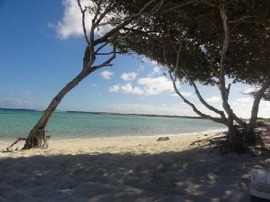 Ferienhaus in Noord (Aruba) oder Ferienwohnung oder Ferienhaus