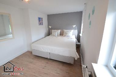 Ferienhaus in Katwijk aan Zee (Zuid-Holland) oder Ferienwohnung oder Ferienhaus