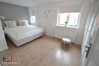 Ferienhaus in Katwijk aan Zee (Zuid-Holland) oder Ferienwohnung oder Ferienhaus