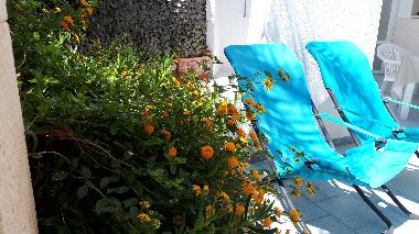 Ferienhaus in torre suda (Lecce) oder Ferienwohnung oder Ferienhaus