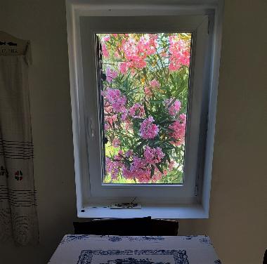 Ferienhaus in Mali Lukoran (Zadarska) oder Ferienwohnung oder Ferienhaus