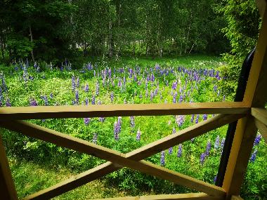 Ferienhaus in Mariannelund (Smaland) oder Ferienwohnung oder Ferienhaus