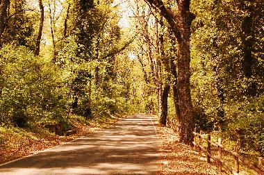 Urlaub in Natur mit Trails f�r Radfahrer nahe Rom