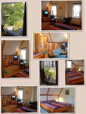 Pension in medemblik (Noord-Holland) oder Ferienwohnung oder Ferienhaus