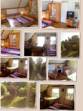 Pension in medemblik (Noord-Holland) oder Ferienwohnung oder Ferienhaus