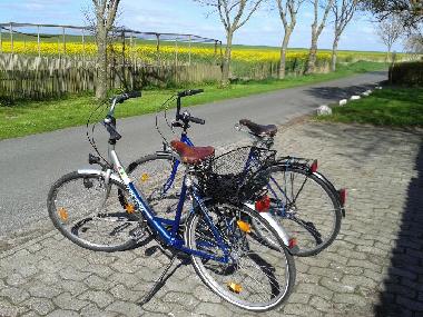 2 R�der f�r unsere G�ste inklusiv