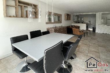 Ferienhaus in Katwijk aan Zee (Zuid-Holland) oder Ferienwohnung oder Ferienhaus