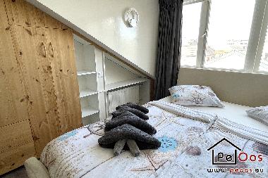Ferienhaus in Katwijk aan Zee (Zuid-Holland) oder Ferienwohnung oder Ferienhaus