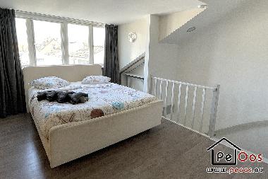Ferienhaus in Katwijk aan Zee (Zuid-Holland) oder Ferienwohnung oder Ferienhaus