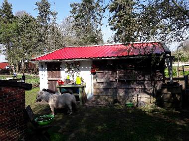 Ferienhaus in Rhauderfehn (Nordsee-Festland / Ostfriesland) oder Ferienwohnung oder Ferienhaus