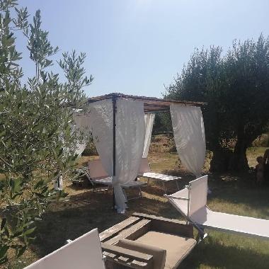 Hotel in Suvereto (Livorno) oder Ferienwohnung oder Ferienhaus