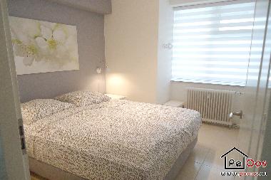 Master-Bedroom