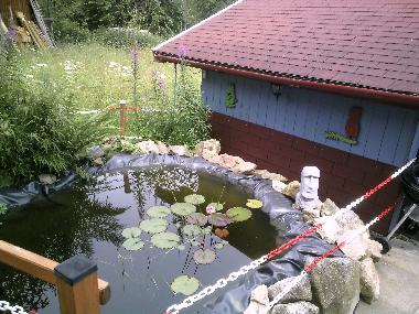 Ferienwohnung in Bernau im Schwarzwald (Schwarzwald) oder Ferienwohnung oder Ferienhaus