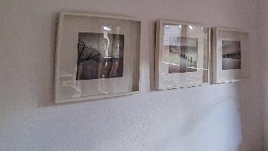 Ferienwohnung in Trassenheide (Ostsee-Inseln) oder Ferienwohnung oder Ferienhaus