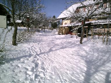 Schlitten fahren vor dem Haus Januar 2025