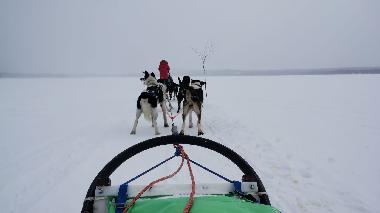 Huskyschlittentouren