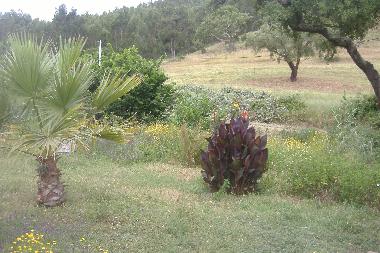 Ferienhaus in S�o Luis (Alentejo Litoral) oder Ferienwohnung oder Ferienhaus