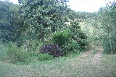 Ferienhaus in S�o Luis (Alentejo Litoral) oder Ferienwohnung oder Ferienhaus