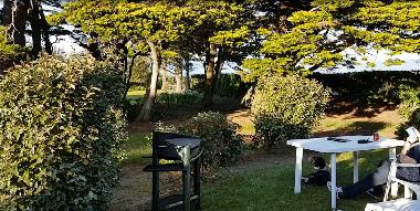 In den Gro�em Garten mit Hund