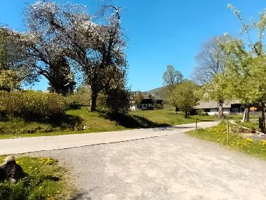 Ferienwohnung in Bernau im Schwarzwald (Schwarzwald) oder Ferienwohnung oder Ferienhaus