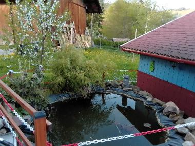 Ferienwohnung in Bernau im Schwarzwald (Schwarzwald) oder Ferienwohnung oder Ferienhaus